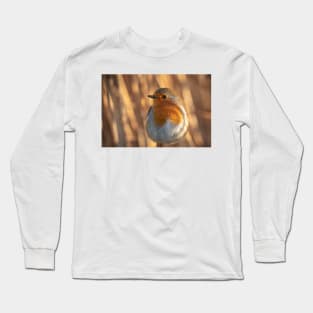 Robin dreams Long Sleeve T-Shirt